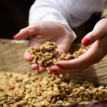 An image of a person showing how to dry oily coffee beans