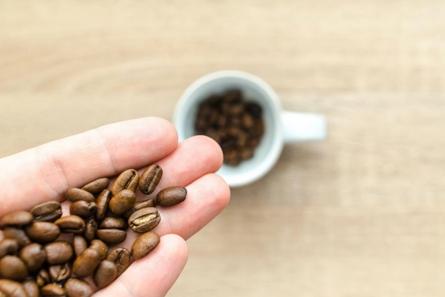 An image of a hand holding coffee beans